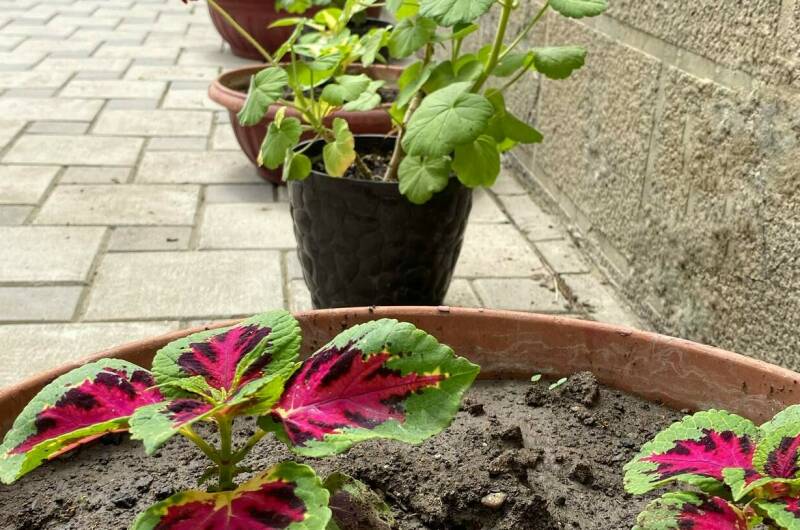 Гостевой Дом «Евгения»