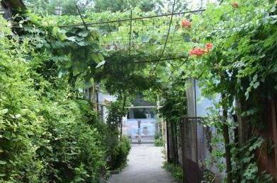 Уютный домик под ключ с кухней и двориком