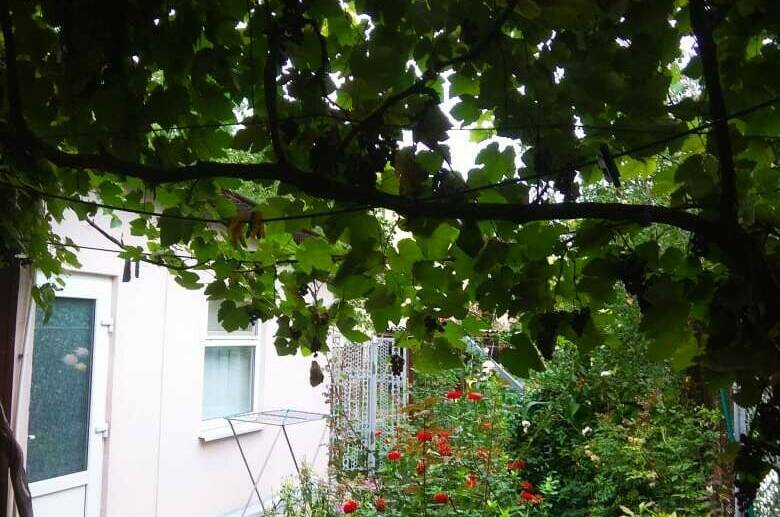 Дом под ключ «Зеленый дворик»