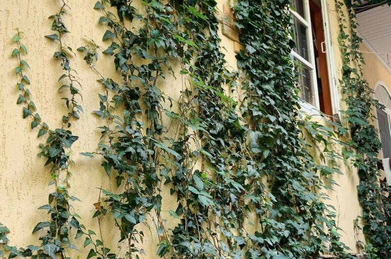 Гостевой дом «Сергей &amp; Ирина»