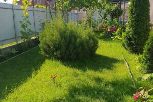 Изображение Гостевой дом «У Татьяны» #5