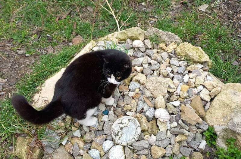 Гостевой дом «Твоя атмосфера»