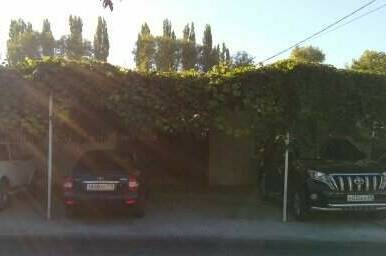 Гостевой дом «Дубрава»