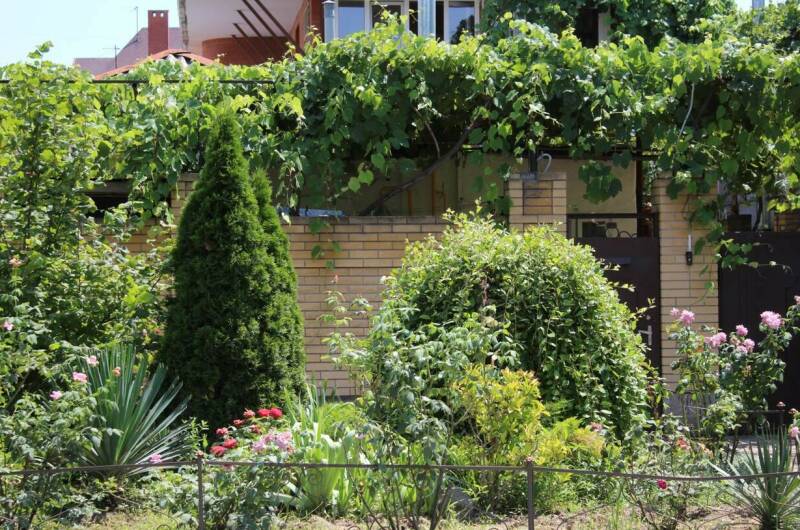 Гостевой дом «Виталина»