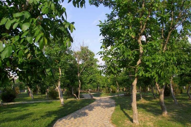 Однокомнатная квартира на ул. Ивана Голубца