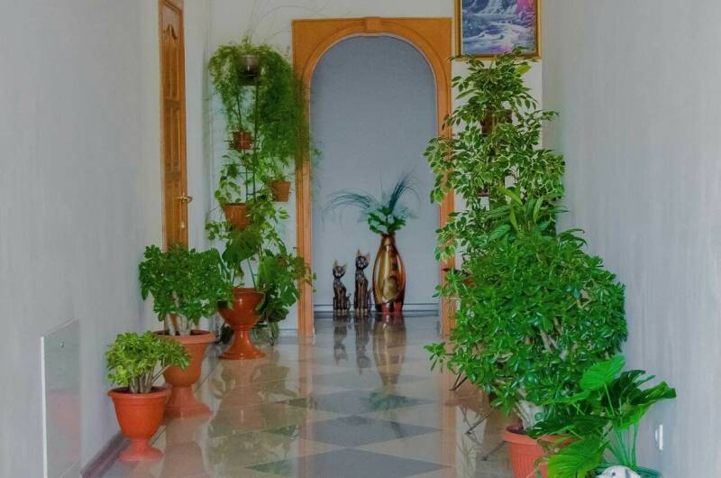 Гостевой дом «Бугаз»