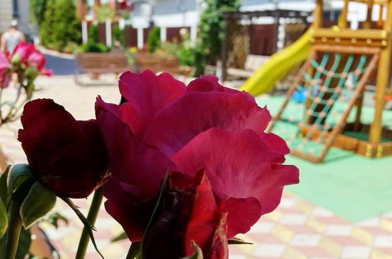 Гостевой дом «Бугаз»