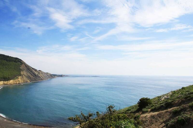 Гостевой дом «Цветущий сад»