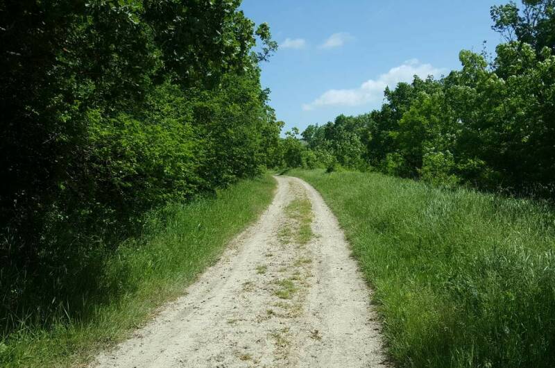 Гостевой дом «Цветущий сад»