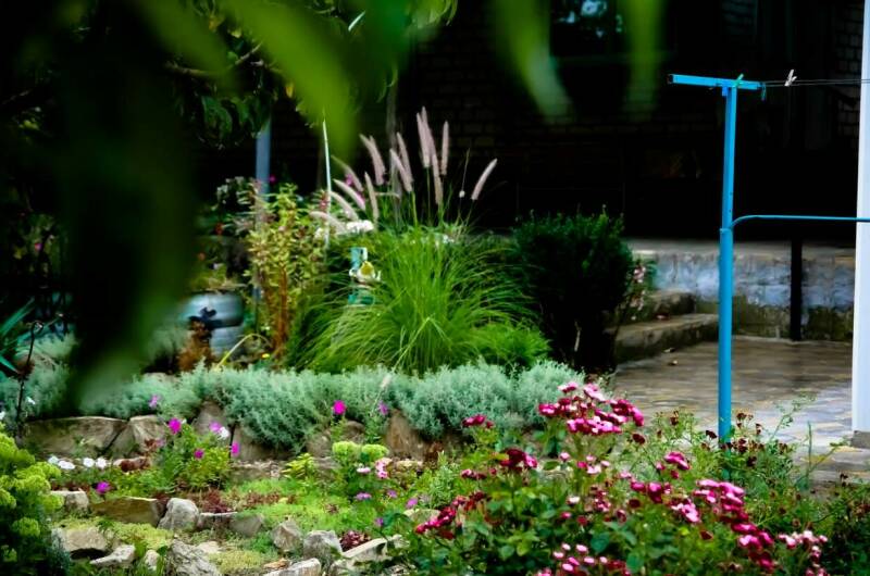 Гостевой дом «Цветущий сад»