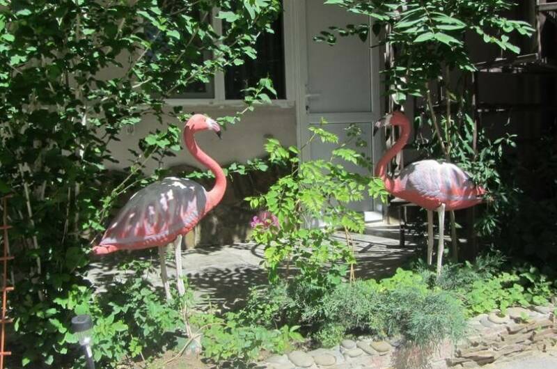 Гостевой дом «Розовый фламинго»