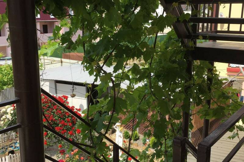 Гостевой дом «Светлана»