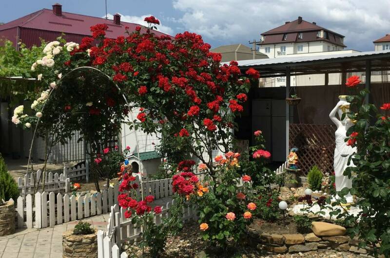 Гостевой дом «Светлана»