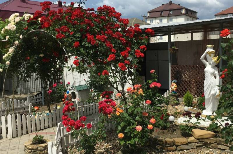 Гостевой дом «Светлана»