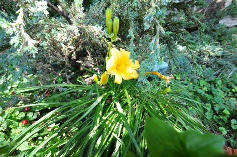 Гостевой дом «Анастасия»
