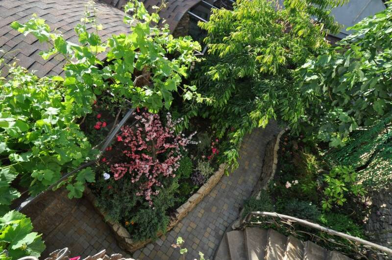 Доходный дом «Маргаритка»