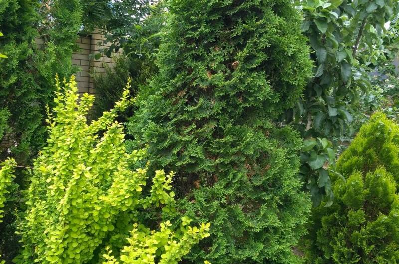 Гостевой дом «Рай»