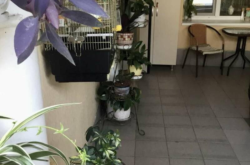 Гостевой дом «Лавр»