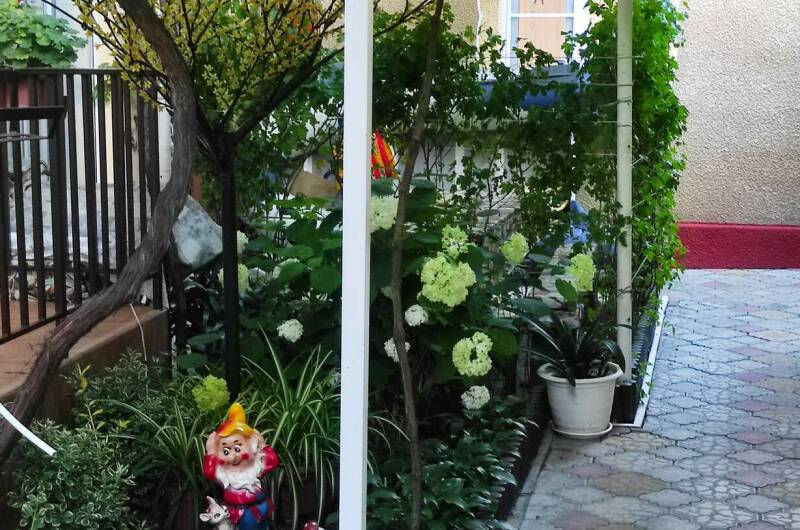 Гостевой дом «Адениум»