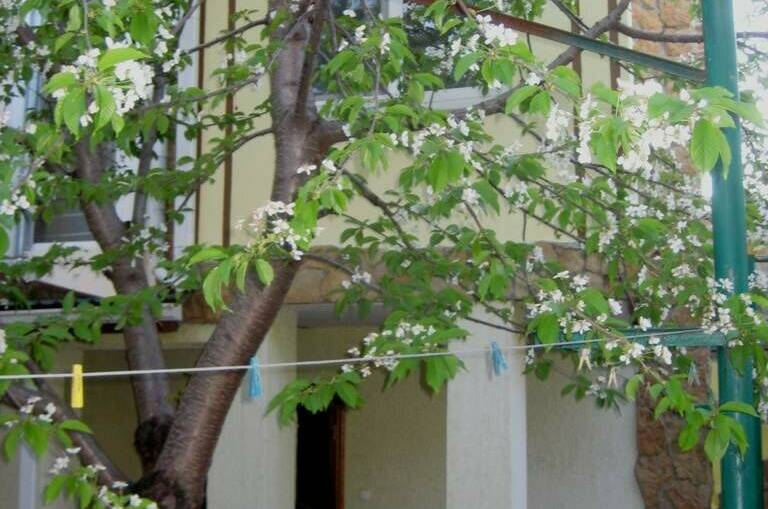 Гостевой дом «Жанна»