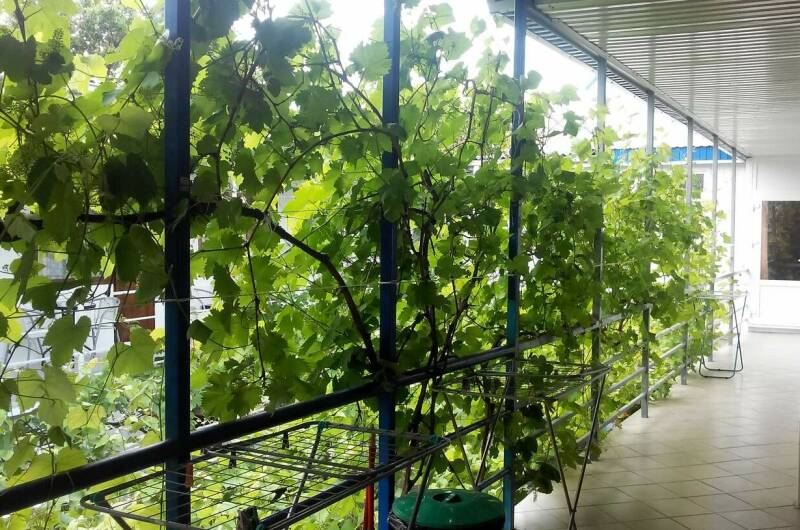 Частный сектор на Самбурова 189а