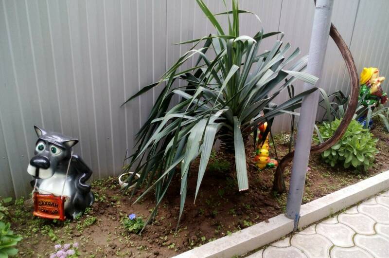 Частный сектор на Самбурова 189а