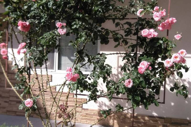 Гостевой дом «Светлана»