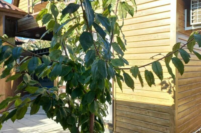 Дом под ключ с бассейном