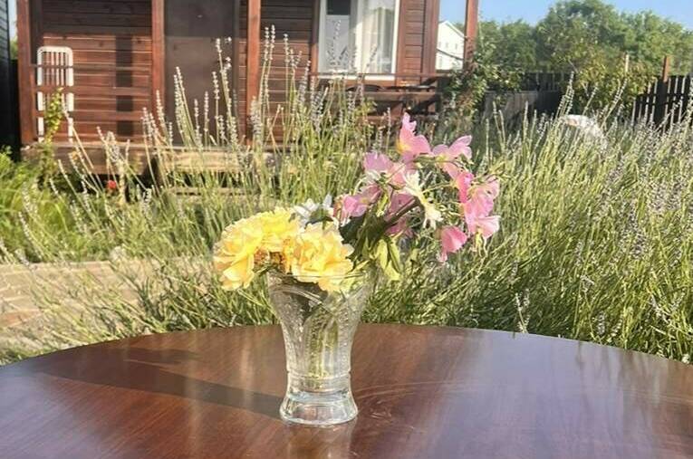 Уютный домик возле моря