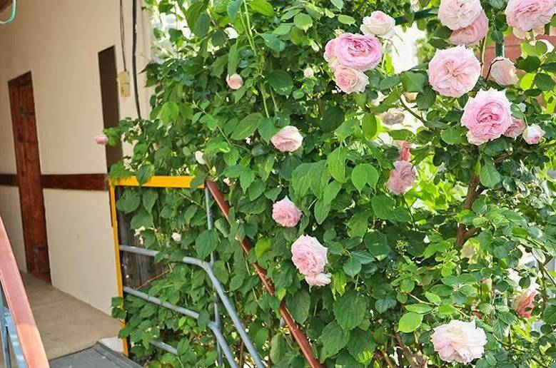 Частное домовладение на Протапова