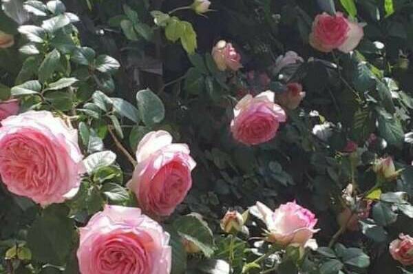 Частное домовладение на Протапова