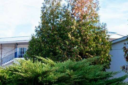 База отдыха «Империя»