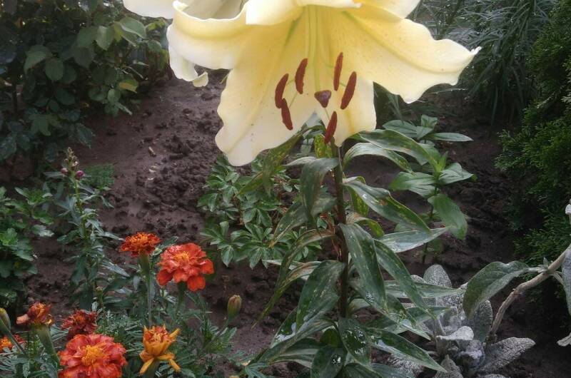 Частный сектор «У Людмилы»