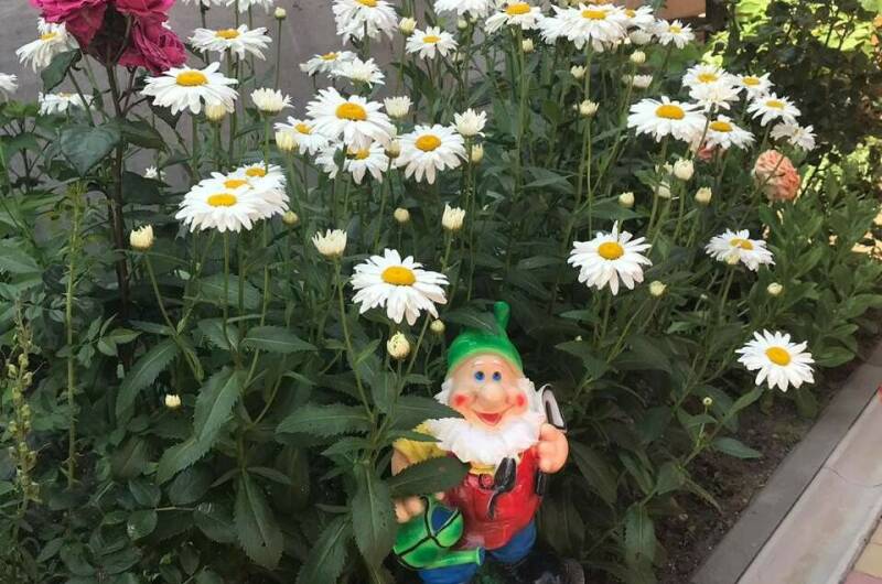 Частный сектор «У Людмилы»