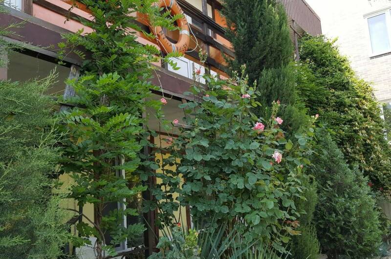 Гостевой дом «Лада»