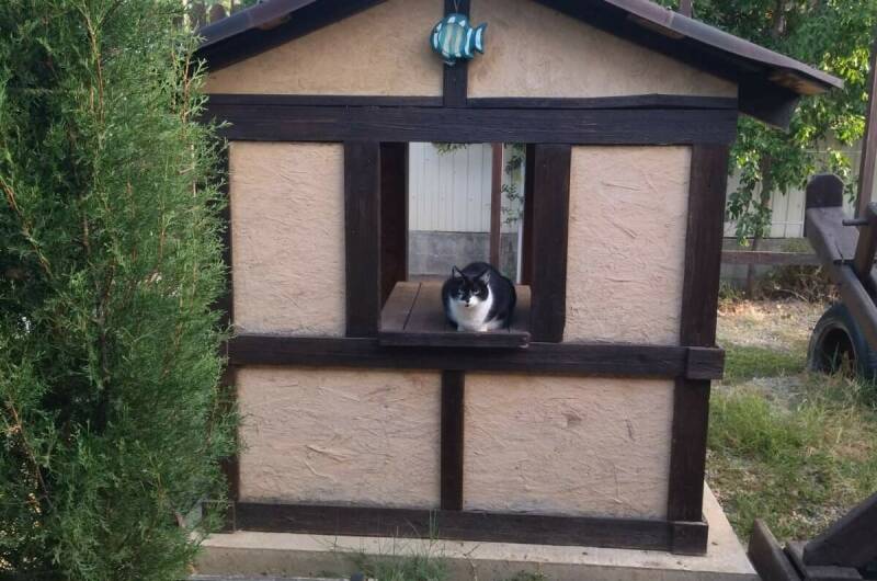 Гостевой дом «Лада»