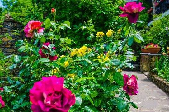 Гостевой дом «Райская усадьба»