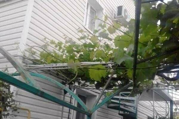 Гостевой дом «Аркадия»