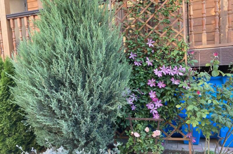 Частный сектор «У Людмилы»