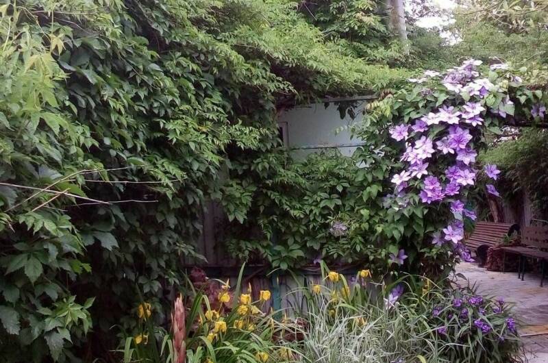 Гостевой дом «Незабываемое лето»