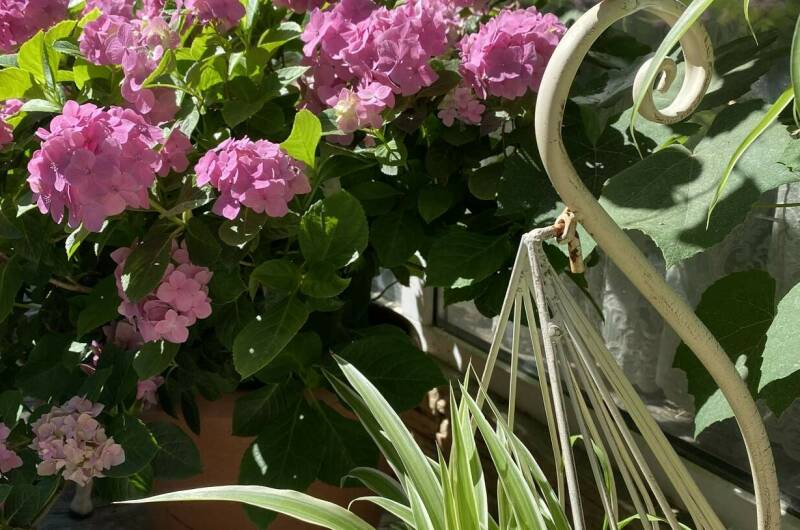 Частный сектор «Миндаль»