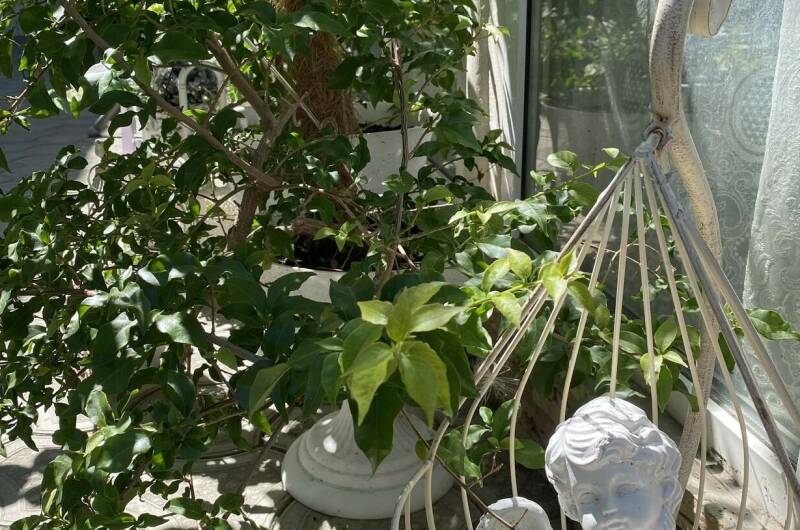 Частный сектор «Миндаль»