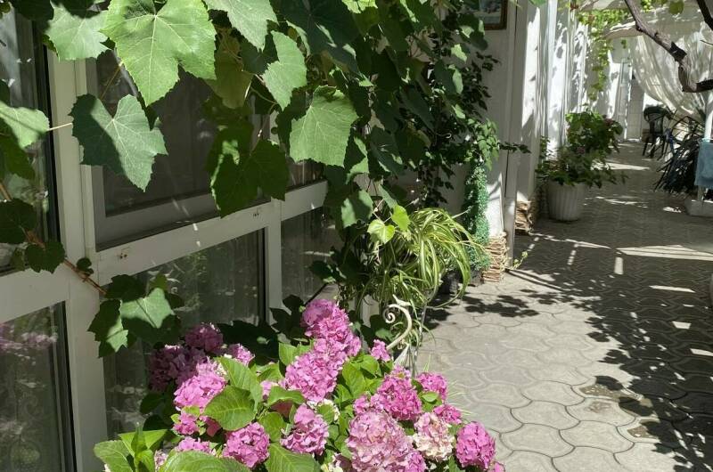 Частный сектор «Миндаль»