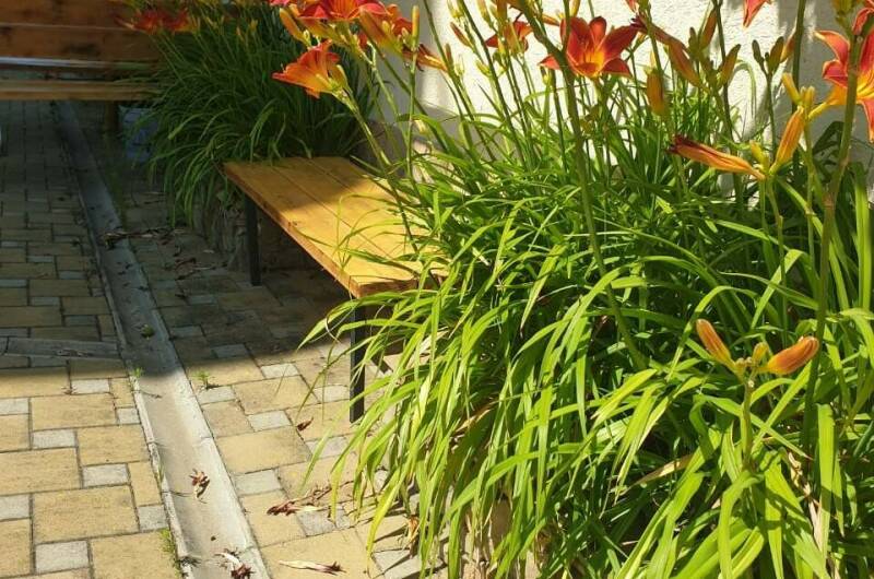 Мини-отель «Уютный»