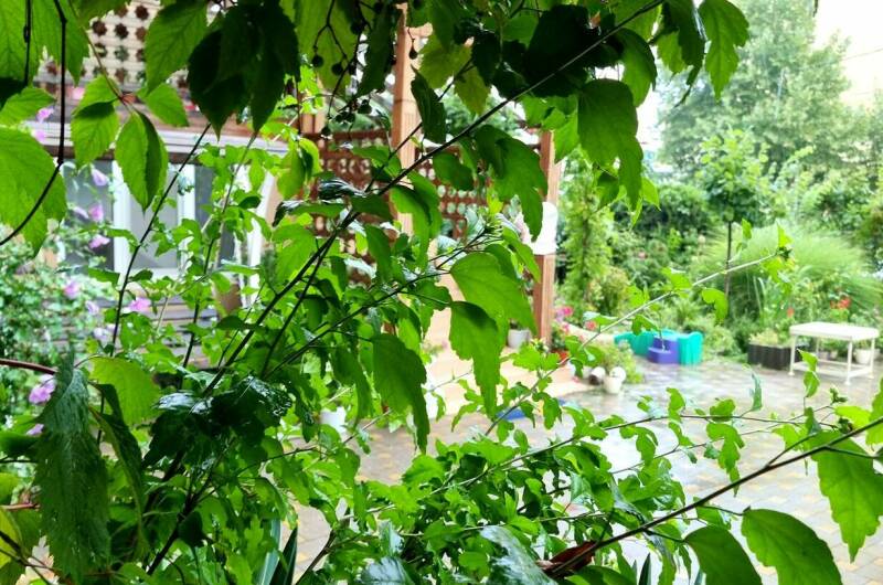 Гостевой дом «Флагман»