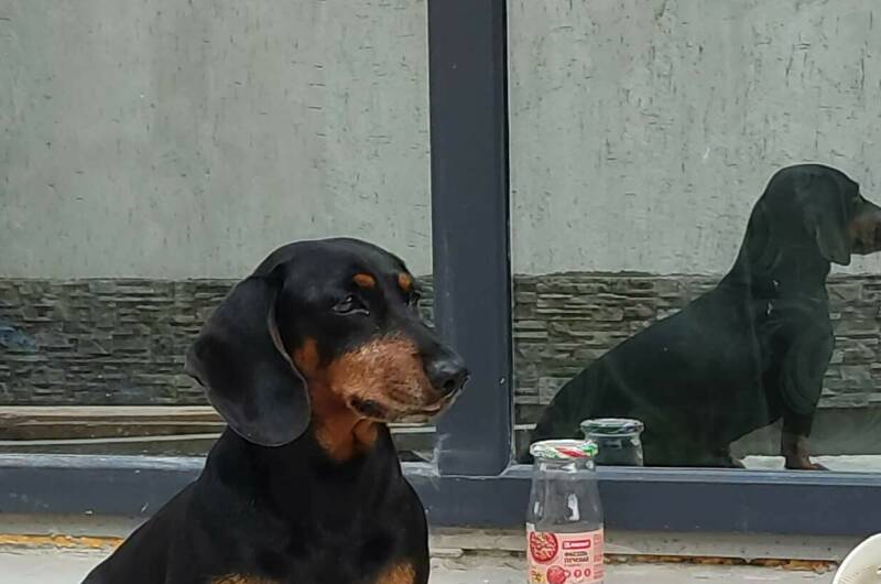 Гостевой дом «Кудыкина гора»