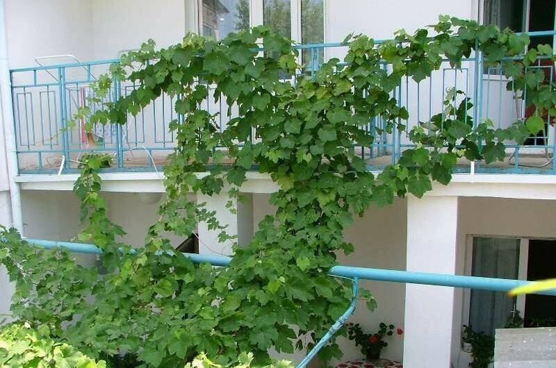 Гостевой дом «На Крымской»