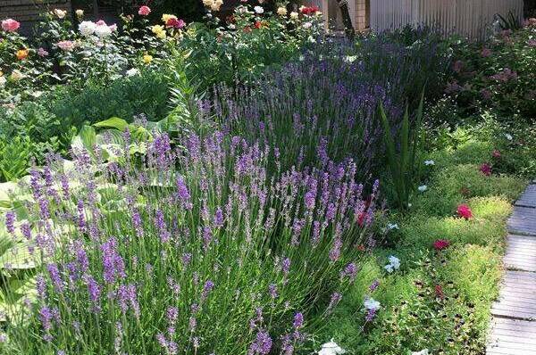 Гостевой дом «Солнечный»