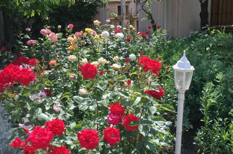 Гостевой дом «Солнечный»