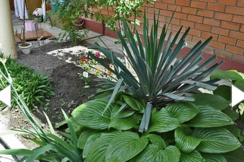 Гостевой дом «София»